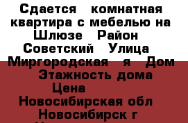 Сдается 1-комнатная квартира с мебелью на Шлюзе › Район ­ Советский › Улица ­ Миргородская 2-я › Дом ­ 9 › Этажность дома ­ 9 › Цена ­ 17 000 - Новосибирская обл., Новосибирск г. Недвижимость » Квартиры аренда   . Новосибирская обл.,Новосибирск г.